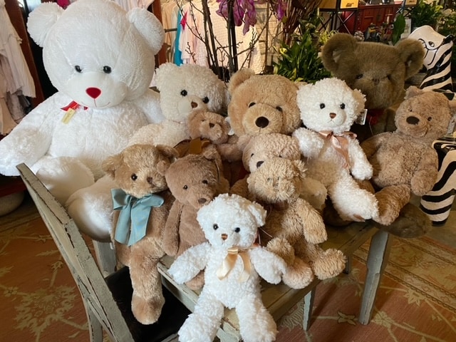 Teddy Bears, Oh My!